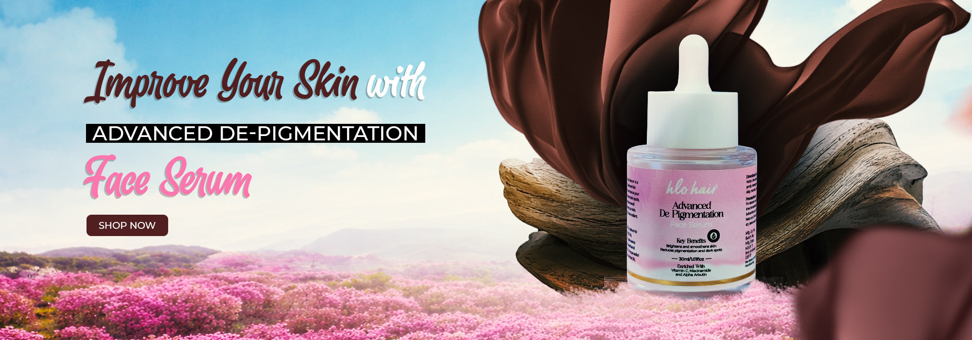 HloHairs slide image